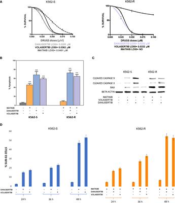 Polo-like kinase-1, Aurora kinase A and WEE1 kinase are promising druggable targets in CML cells displaying BCR::ABL1-independent resistance to tyrosine kinase inhibitors